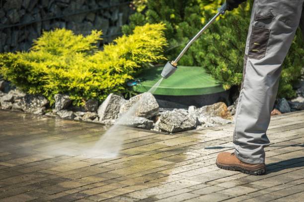 Best Roof Washing  in Jonesboro, LA