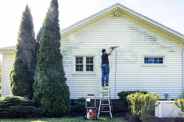 Best Patio and Deck Pressure Washing  in Jonesboro, LA